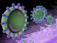 آشنایی با علائم، راه‌های تشخیص و مقابله با ویروس‌ کرونا