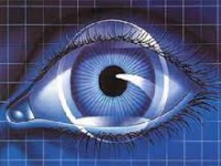 مواد غذایی مفید برای تقویت چشم و بینایی