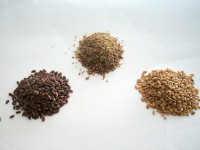خواص درمانی تخم کتان (Flaxseed)