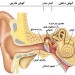 رفتارهای خطرناک برای قوه‌ شنوایی
