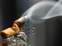 سیگار با این عضو مهم بدن چه می کند؟