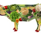 آشنایی با مواد غذایی مفید برای گیاه خواران