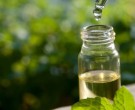 به کمک روغن درخت چای بیماری های پوستی خود را درمان کنید..!