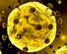 چقدر احتمال جهش کرونا ویروس جدید وجود دارد؟