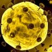 چقدر احتمال جهش کرونا ویروس جدید وجود دارد؟