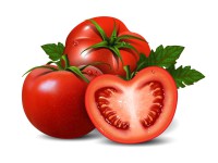 کالری گوجه فرنگی چقدر است؟