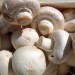 کالری قارچ خام چقدر است؟