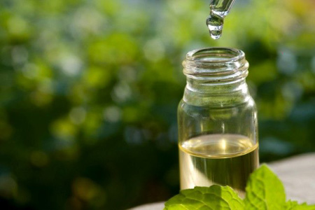 به کمک روغن درخت چای بیماری های پوستی خود را درمان کنید..!
