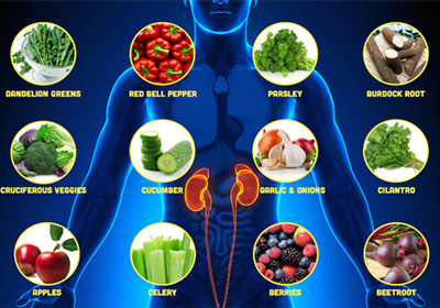 به کمک این مواد غذایی سلامت کلیه هایتان را ارتقاء دهید..!