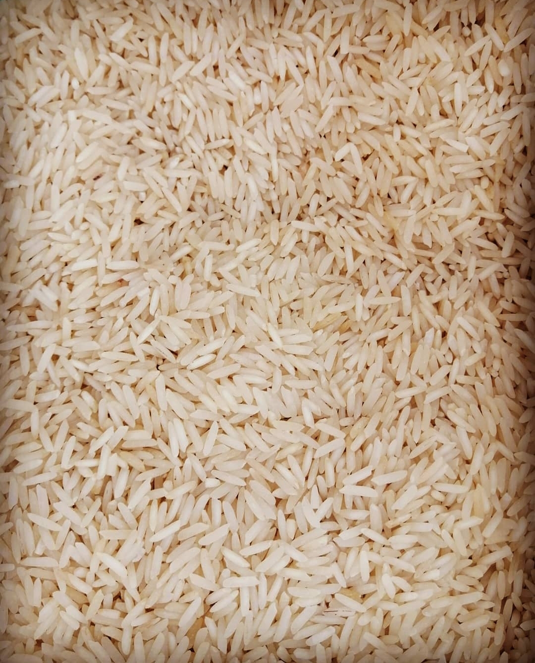 کالری برنج خام چقدر است؟